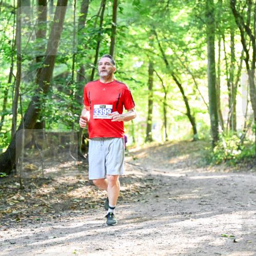 28.09.2025 - 33. Volkslauf durch das schöne Alstertal Dr. Thomas Lammeyer http://msf.ph/oto/8963464 28.09.2025 11:15:48 Laufen 3399 meine-sportfotos.de
