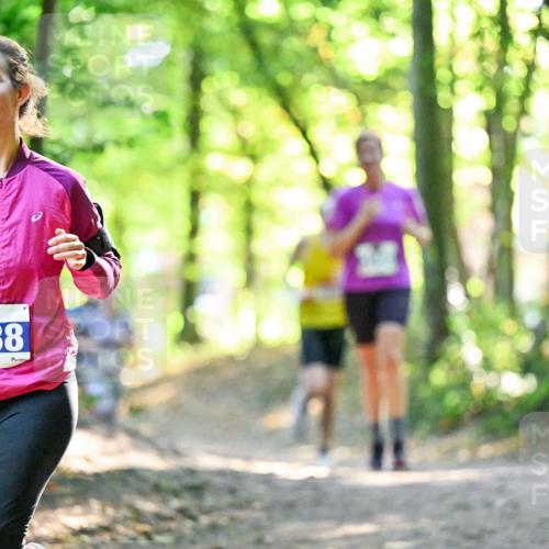28.09.2025 - 33. Volkslauf durch das schöne Alstertal Dr. Thomas Lammeyer http://msf.ph/oto/8963502 28.09.2025 11:15:59 Laufen 3338 meine-sportfotos.de