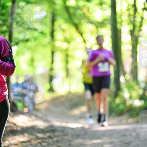 28.09.2025 - 33. Volkslauf durch das schöne Alstertal Dr. Thomas Lammeyer http://msf.ph/oto/8963503 28.09.2025 11:15:59 Laufen 3338 meine-sportfotos.de