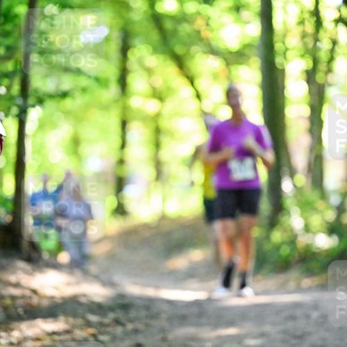 28.09.2025 - 33. Volkslauf durch das schöne Alstertal Dr. Thomas Lammeyer http://msf.ph/oto/8963504 28.09.2025 11:15:59 Laufen 38 meine-sportfotos.de