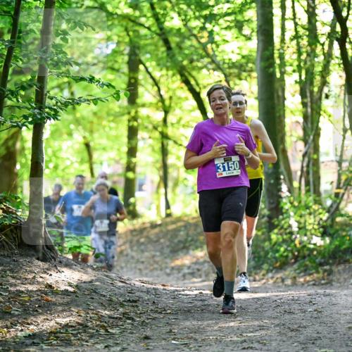 28.09.2025 - 33. Volkslauf durch das schöne Alstertal Dr. Thomas Lammeyer http://msf.ph/oto/8963508 28.09.2025 11:16:00 Laufen 3150 meine-sportfotos.de