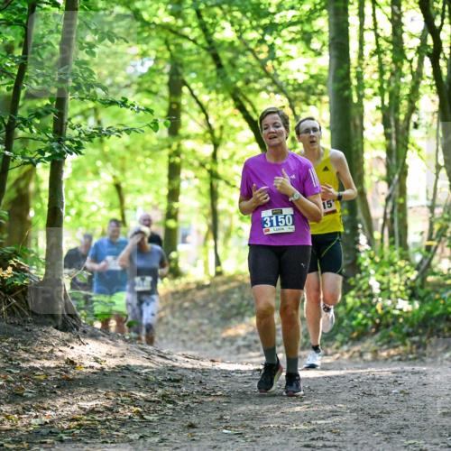 28.09.2025 - 33. Volkslauf durch das schöne Alstertal Dr. Thomas Lammeyer http://msf.ph/oto/8963509 28.09.2025 11:16:00 Laufen 3150, 15 meine-sportfotos.de