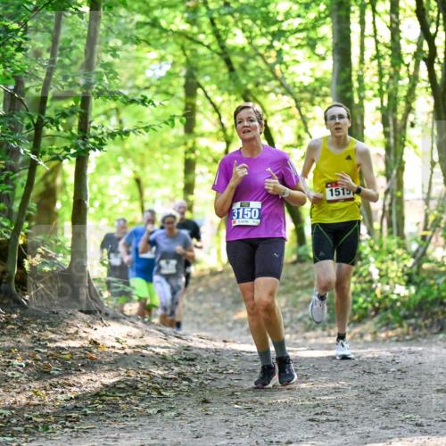 28.09.2025 - 33. Volkslauf durch das schöne Alstertal Dr. Thomas Lammeyer http://msf.ph/oto/8963513 28.09.2025 11:16:00 Laufen 3150, 1515 meine-sportfotos.de
