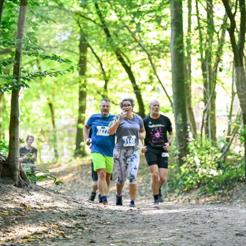 28.09.2025 - 33. Volkslauf durch das schöne Alstertal Dr. Thomas Lammeyer http://msf.ph/oto/8963518 28.09.2025 11:16:03 Laufen 271, 3146, 712 meine-sportfotos.de