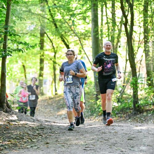 28.09.2025 - 33. Volkslauf durch das schöne Alstertal Dr. Thomas Lammeyer http://msf.ph/oto/8963530 28.09.2025 11:16:05 Laufen 146, 60 meine-sportfotos.de