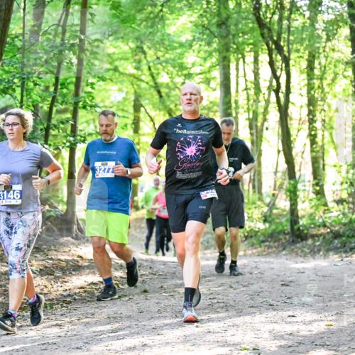 28.09.2025 - 33. Volkslauf durch das schöne Alstertal Dr. Thomas Lammeyer http://msf.ph/oto/8963553 28.09.2025 11:16:07 Laufen 3146, 3277 meine-sportfotos.de