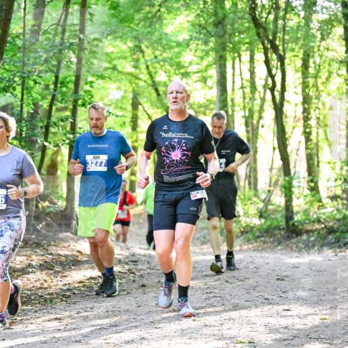 28.09.2025 - 33. Volkslauf durch das schöne Alstertal Dr. Thomas Lammeyer http://msf.ph/oto/8963554 28.09.2025 11:16:07 Laufen 3146, 3277 meine-sportfotos.de