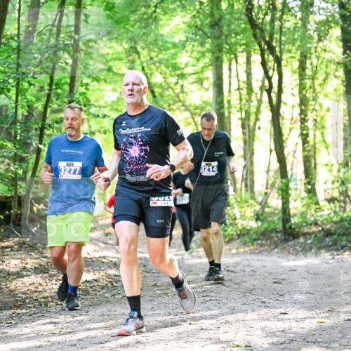 28.09.2025 - 33. Volkslauf durch das schöne Alstertal Dr. Thomas Lammeyer http://msf.ph/oto/8963558 28.09.2025 11:16:08 Laufen 146, 3277, 1, 2, 3214 meine-sportfotos.de