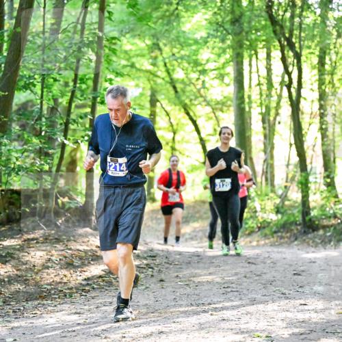 28.09.2025 - 33. Volkslauf durch das schöne Alstertal Dr. Thomas Lammeyer http://msf.ph/oto/8963571 28.09.2025 11:16:09 Laufen 214, 3120 meine-sportfotos.de