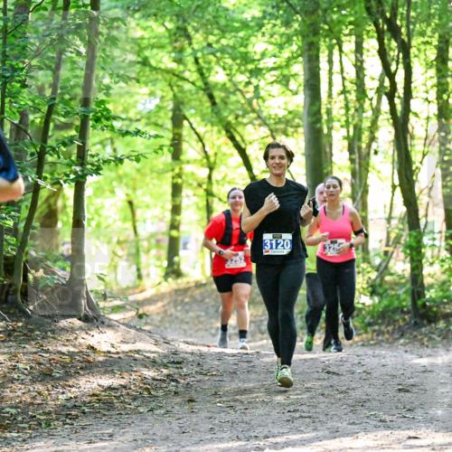 28.09.2025 - 33. Volkslauf durch das schöne Alstertal Dr. Thomas Lammeyer http://msf.ph/oto/8963572 28.09.2025 11:16:10 Laufen 214, 3120 meine-sportfotos.de