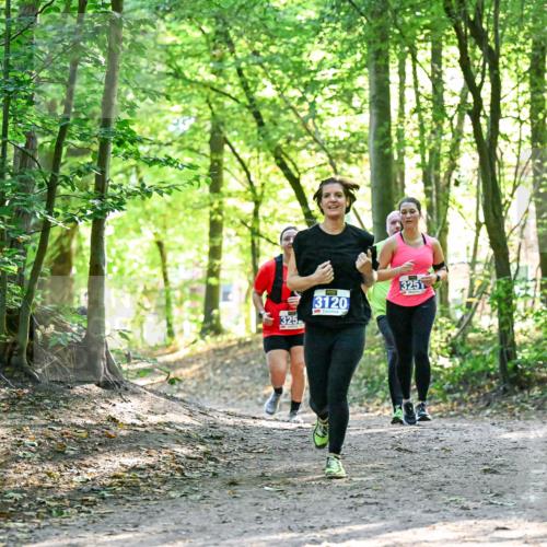 28.09.2025 - 33. Volkslauf durch das schöne Alstertal Dr. Thomas Lammeyer http://msf.ph/oto/8963574 28.09.2025 11:16:10 Laufen 325, 3120, 3251 meine-sportfotos.de