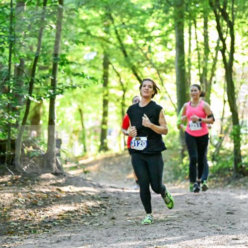 28.09.2025 - 33. Volkslauf durch das schöne Alstertal Dr. Thomas Lammeyer http://msf.ph/oto/8963579 28.09.2025 11:16:11 Laufen 3120 meine-sportfotos.de