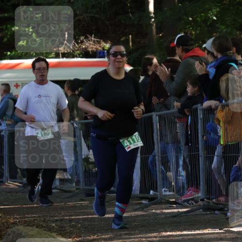 28.09.2025 - 33. Volkslauf durch das schöne Alstertal Strokosch-Dieckow http://msf.ph/oto/8963582 28.09.2025 11:05:34 Ziel 4110, 4139 meine-sportfotos.de