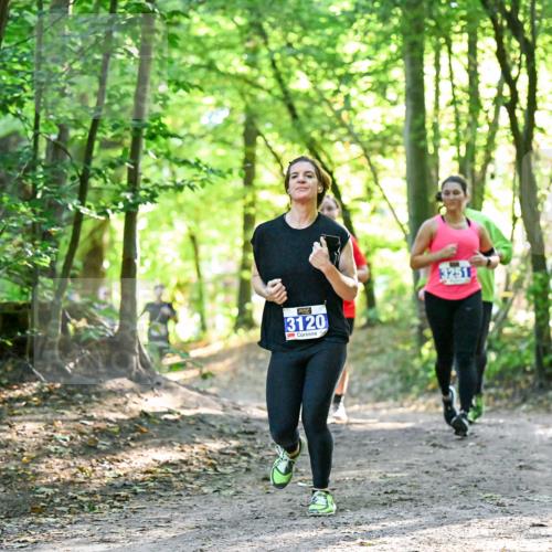 28.09.2025 - 33. Volkslauf durch das schöne Alstertal Dr. Thomas Lammeyer http://msf.ph/oto/8963585 28.09.2025 11:16:11 Laufen 3120, 3251 meine-sportfotos.de