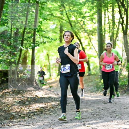 28.09.2025 - 33. Volkslauf durch das schöne Alstertal Dr. Thomas Lammeyer http://msf.ph/oto/8963586 28.09.2025 11:16:11 Laufen 3120, 3251 meine-sportfotos.de