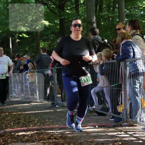 28.09.2025 - 33. Volkslauf durch das schöne Alstertal Strokosch-Dieckow http://msf.ph/oto/8963594 28.09.2025 11:05:38 Ziel 4110, 4139 meine-sportfotos.de