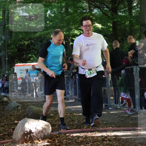 28.09.2025 - 33. Volkslauf durch das schöne Alstertal Strokosch-Dieckow http://msf.ph/oto/8963605 28.09.2025 11:05:42 Ziel 4085, 4139 meine-sportfotos.de