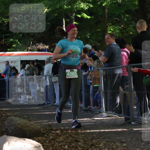 28.09.2025 - 33. Volkslauf durch das schöne Alstertal Strokosch-Dieckow http://msf.ph/oto/8963621 28.09.2025 11:05:47 Ziel 4085 meine-sportfotos.de