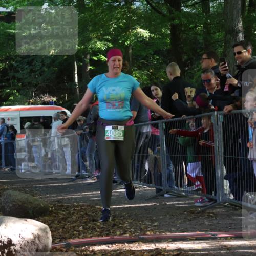 28.09.2025 - 33. Volkslauf durch das schöne Alstertal Strokosch-Dieckow http://msf.ph/oto/8963626 28.09.2025 11:05:49 Ziel 4085 meine-sportfotos.de