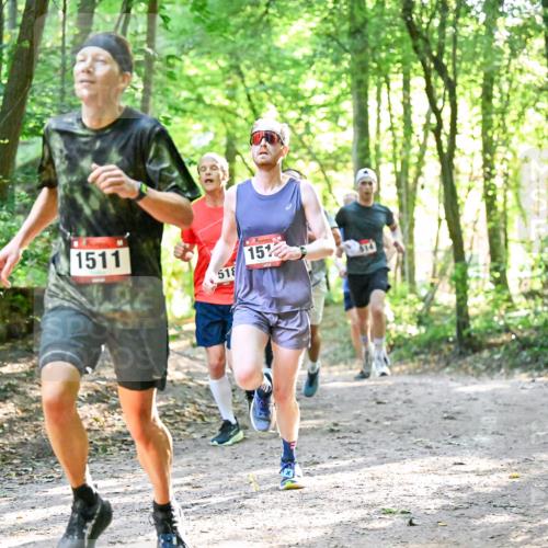 28.09.2025 - 33. Volkslauf durch das schöne Alstertal Dr. Thomas Lammeyer http://msf.ph/oto/8963638 28.09.2025 11:16:19 Laufen 1511, 518, 15 meine-sportfotos.de