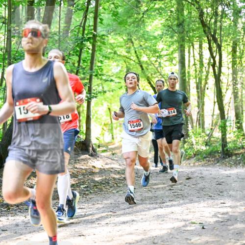 28.09.2025 - 33. Volkslauf durch das schöne Alstertal Dr. Thomas Lammeyer http://msf.ph/oto/8963642 28.09.2025 11:16:19 Laufen 15, 1546, 514 meine-sportfotos.de