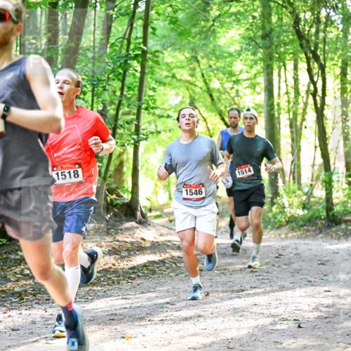 28.09.2025 - 33. Volkslauf durch das schöne Alstertal Dr. Thomas Lammeyer http://msf.ph/oto/8963643 28.09.2025 11:16:19 Laufen 1513, 1518, 1514, 1546 meine-sportfotos.de