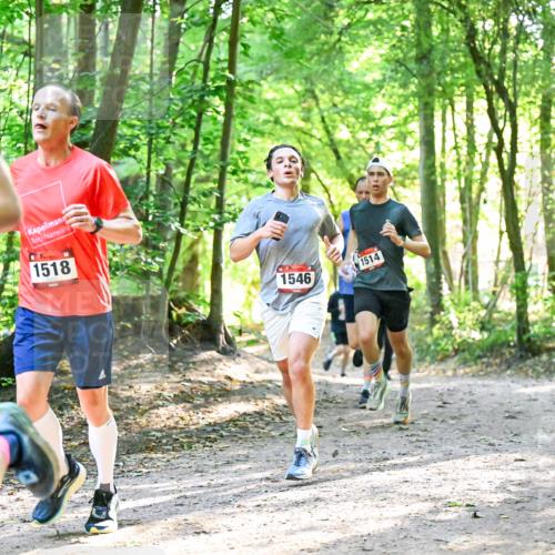 28.09.2025 - 33. Volkslauf durch das schöne Alstertal Dr. Thomas Lammeyer http://msf.ph/oto/8963644 28.09.2025 11:16:20 Laufen 13, 1518, 1546, 1514 meine-sportfotos.de