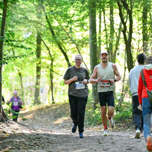 28.09.2025 - 33. Volkslauf durch das schöne Alstertal Dr. Thomas Lammeyer http://msf.ph/oto/8963680 28.09.2025 11:16:41 Laufen 3090, 1516 meine-sportfotos.de