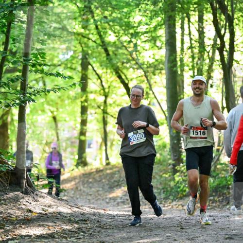 28.09.2025 - 33. Volkslauf durch das schöne Alstertal Dr. Thomas Lammeyer http://msf.ph/oto/8963683 28.09.2025 11:16:41 Laufen 3090, 1516 meine-sportfotos.de