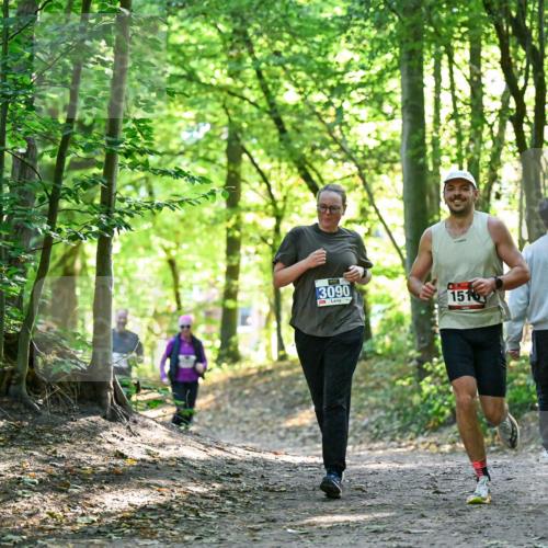 28.09.2025 - 33. Volkslauf durch das schöne Alstertal Dr. Thomas Lammeyer http://msf.ph/oto/8963685 28.09.2025 11:16:42 Laufen 3090, 151 meine-sportfotos.de