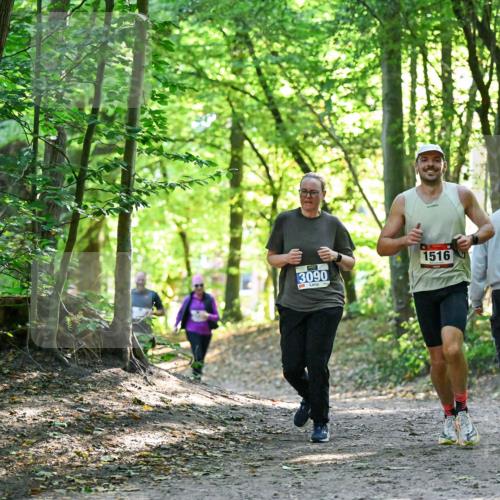28.09.2025 - 33. Volkslauf durch das schöne Alstertal Dr. Thomas Lammeyer http://msf.ph/oto/8963686 28.09.2025 11:16:42 Laufen 3090, 1516 meine-sportfotos.de