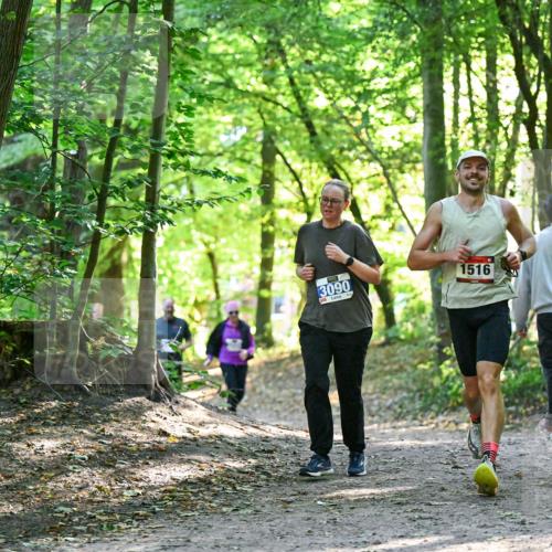 28.09.2025 - 33. Volkslauf durch das schöne Alstertal Dr. Thomas Lammeyer http://msf.ph/oto/8963687 28.09.2025 11:16:42 Laufen 3090, 1516 meine-sportfotos.de