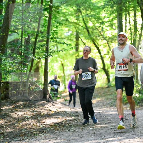 28.09.2025 - 33. Volkslauf durch das schöne Alstertal Dr. Thomas Lammeyer http://msf.ph/oto/8963688 28.09.2025 11:16:42 Laufen 3090, 1516 meine-sportfotos.de