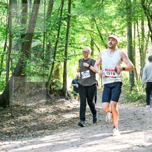 28.09.2025 - 33. Volkslauf durch das schöne Alstertal Dr. Thomas Lammeyer http://msf.ph/oto/8963692 28.09.2025 11:16:43 Laufen 3090, 1516 meine-sportfotos.de