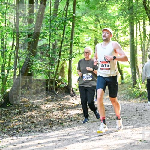 28.09.2025 - 33. Volkslauf durch das schöne Alstertal Dr. Thomas Lammeyer http://msf.ph/oto/8963693 28.09.2025 11:16:43 Laufen 3090, 1516 meine-sportfotos.de