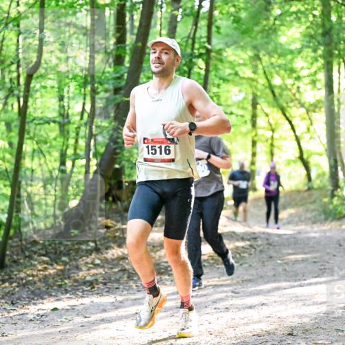 28.09.2025 - 33. Volkslauf durch das schöne Alstertal Dr. Thomas Lammeyer http://msf.ph/oto/8963698 28.09.2025 11:16:44 Laufen 1516 meine-sportfotos.de