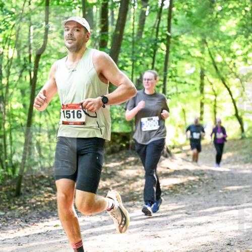 28.09.2025 - 33. Volkslauf durch das schöne Alstertal Dr. Thomas Lammeyer http://msf.ph/oto/8963700 28.09.2025 11:16:44 Laufen 1516, 3090 meine-sportfotos.de
