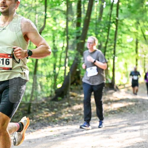 28.09.2025 - 33. Volkslauf durch das schöne Alstertal Dr. Thomas Lammeyer http://msf.ph/oto/8963701 28.09.2025 11:16:44 Laufen 1516 meine-sportfotos.de
