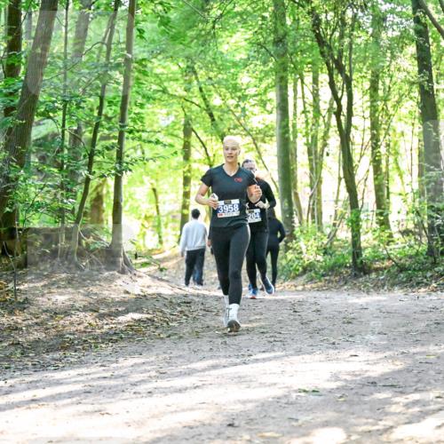28.09.2025 - 33. Volkslauf durch das schöne Alstertal Dr. Thomas Lammeyer http://msf.ph/oto/8963710 28.09.2025 11:16:52 Laufen 3958, 204 meine-sportfotos.de