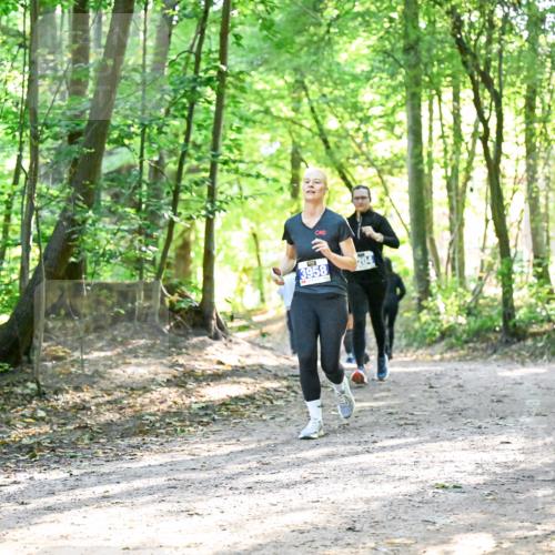 28.09.2025 - 33. Volkslauf durch das schöne Alstertal Dr. Thomas Lammeyer http://msf.ph/oto/8963714 28.09.2025 11:16:53 Laufen 3958, 204 meine-sportfotos.de