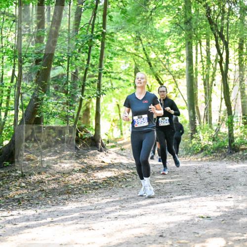 28.09.2025 - 33. Volkslauf durch das schöne Alstertal Dr. Thomas Lammeyer http://msf.ph/oto/8963715 28.09.2025 11:16:53 Laufen 3958, 3204 meine-sportfotos.de