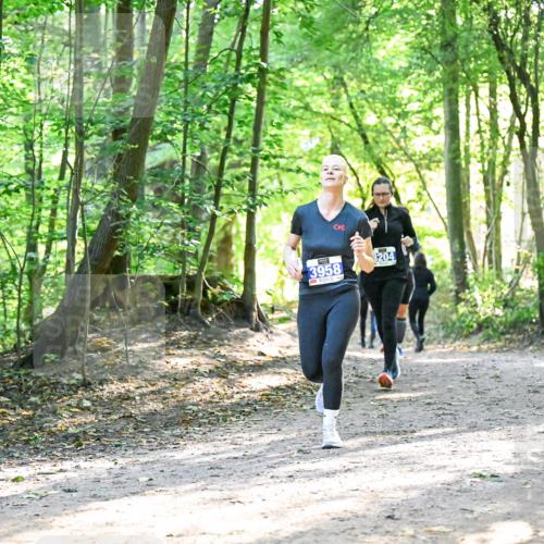 28.09.2025 - 33. Volkslauf durch das schöne Alstertal Dr. Thomas Lammeyer http://msf.ph/oto/8963717 28.09.2025 11:16:53 Laufen 3958, 8204 meine-sportfotos.de