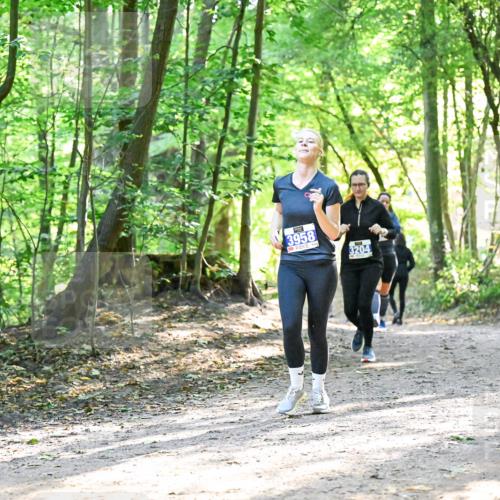 28.09.2025 - 33. Volkslauf durch das schöne Alstertal Dr. Thomas Lammeyer http://msf.ph/oto/8963718 28.09.2025 11:16:54 Laufen 3958, 3204 meine-sportfotos.de