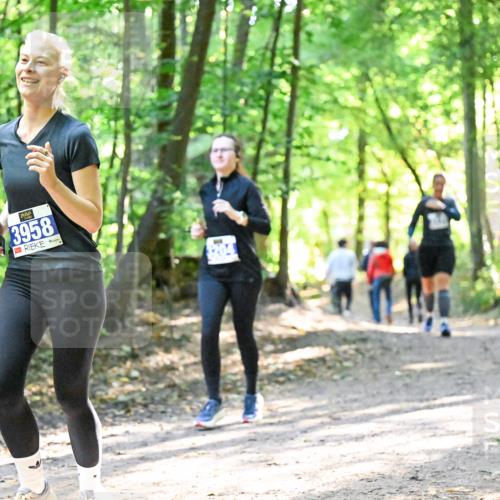 28.09.2025 - 33. Volkslauf durch das schöne Alstertal Dr. Thomas Lammeyer http://msf.ph/oto/8963725 28.09.2025 11:16:55 Laufen 3958 meine-sportfotos.de