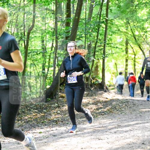 28.09.2025 - 33. Volkslauf durch das schöne Alstertal Dr. Thomas Lammeyer http://msf.ph/oto/8963726 28.09.2025 11:16:55 Laufen 3958, 3204, 317 meine-sportfotos.de