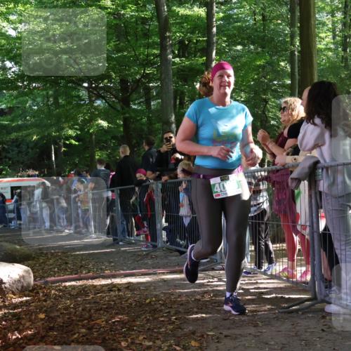 28.09.2025 - 33. Volkslauf durch das schöne Alstertal Strokosch-Dieckow http://msf.ph/oto/8963737 28.09.2025 11:05:51 Ziel 4085 meine-sportfotos.de