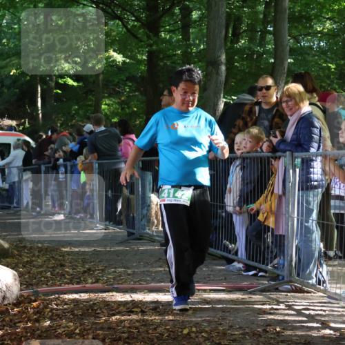 28.09.2025 - 33. Volkslauf durch das schöne Alstertal Strokosch-Dieckow http://msf.ph/oto/8963747 28.09.2025 11:06:53 Ziel 3173, 4142 meine-sportfotos.de