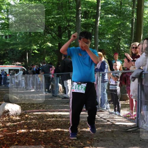 28.09.2025 - 33. Volkslauf durch das schöne Alstertal Strokosch-Dieckow http://msf.ph/oto/8963752 28.09.2025 11:06:55 Ziel 3173 meine-sportfotos.de