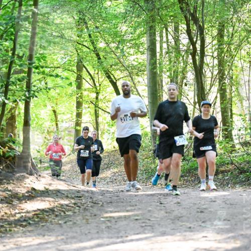 28.09.2025 - 33. Volkslauf durch das schöne Alstertal Dr. Thomas Lammeyer http://msf.ph/oto/8963762 28.09.2025 11:17:09 Laufen 3127, 3328, 3104 meine-sportfotos.de
