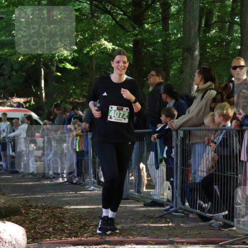 28.09.2025 - 33. Volkslauf durch das schöne Alstertal Strokosch-Dieckow http://msf.ph/oto/8963763 28.09.2025 11:07:27 Ziel 4072 meine-sportfotos.de